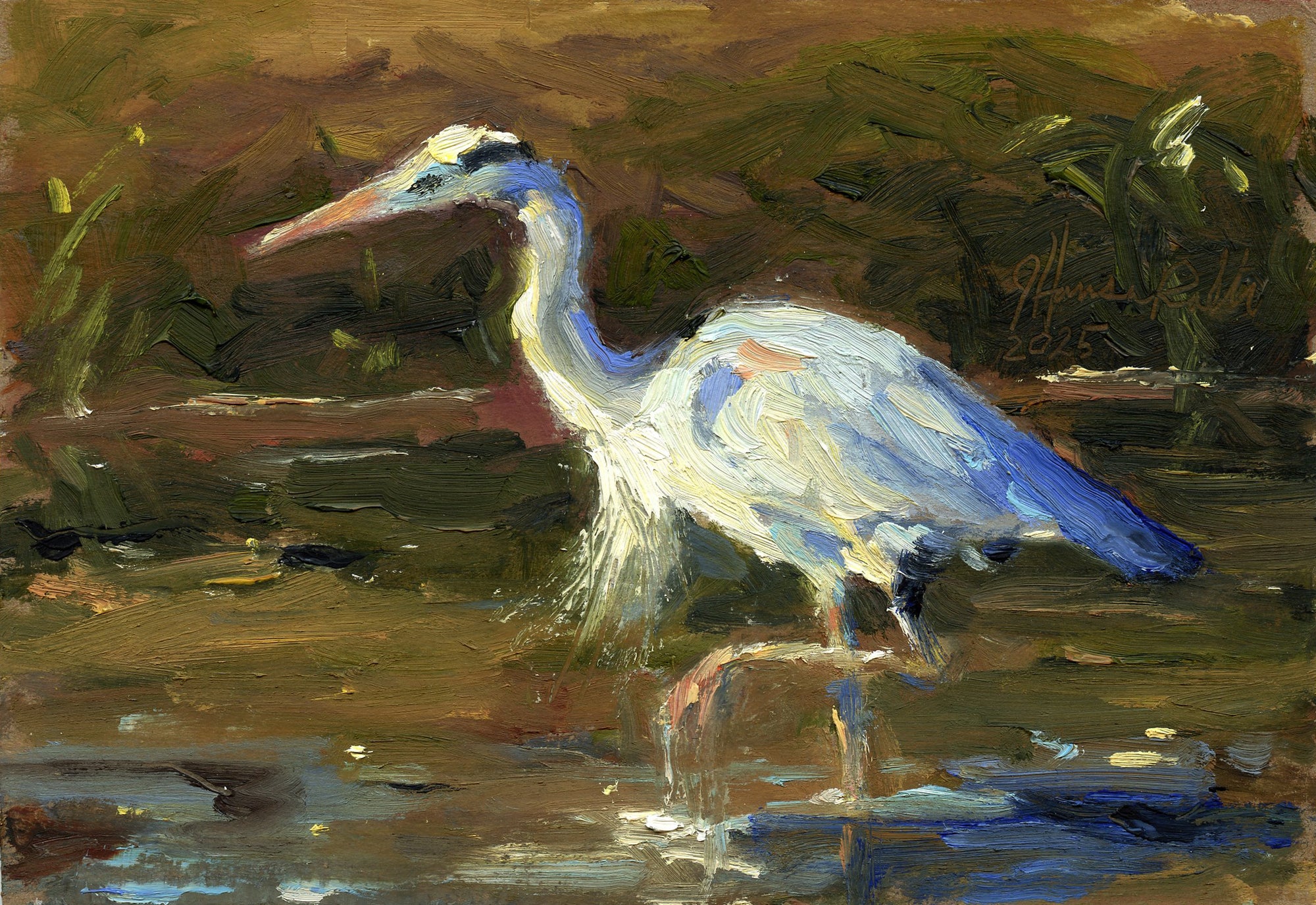 Canal Resident
