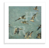 Flight No. 4 oil painting print featuring seagulls in flight on a teal green background. By Jennifer Hansen Rolli.