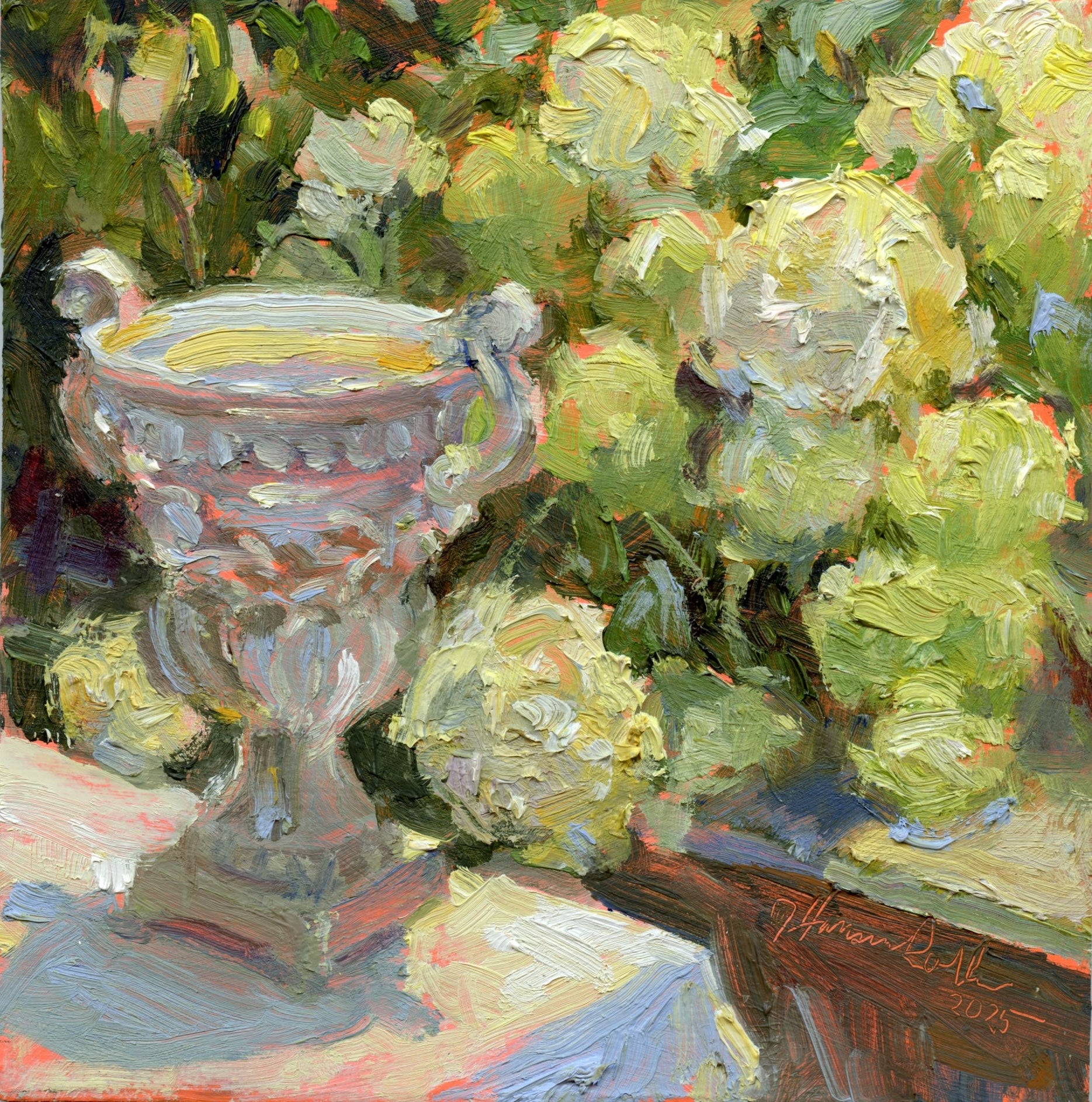 Hydrangea and Urn
