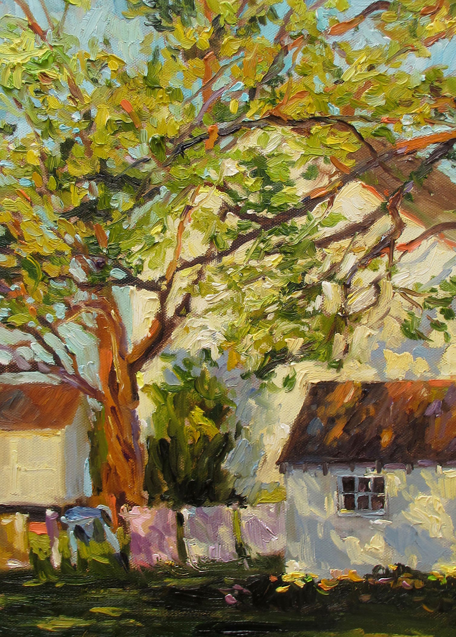 Moving Air Boxed Greeting Cards